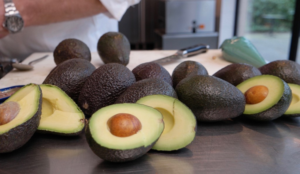 avocado's