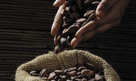 Rauwe cacao