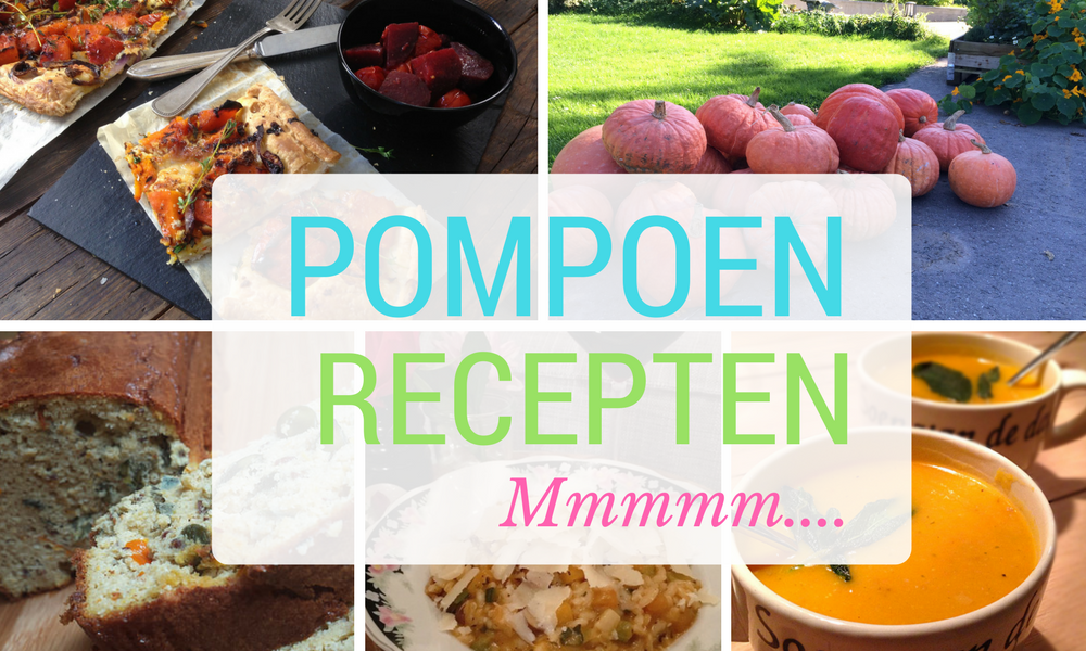 pompoen recept